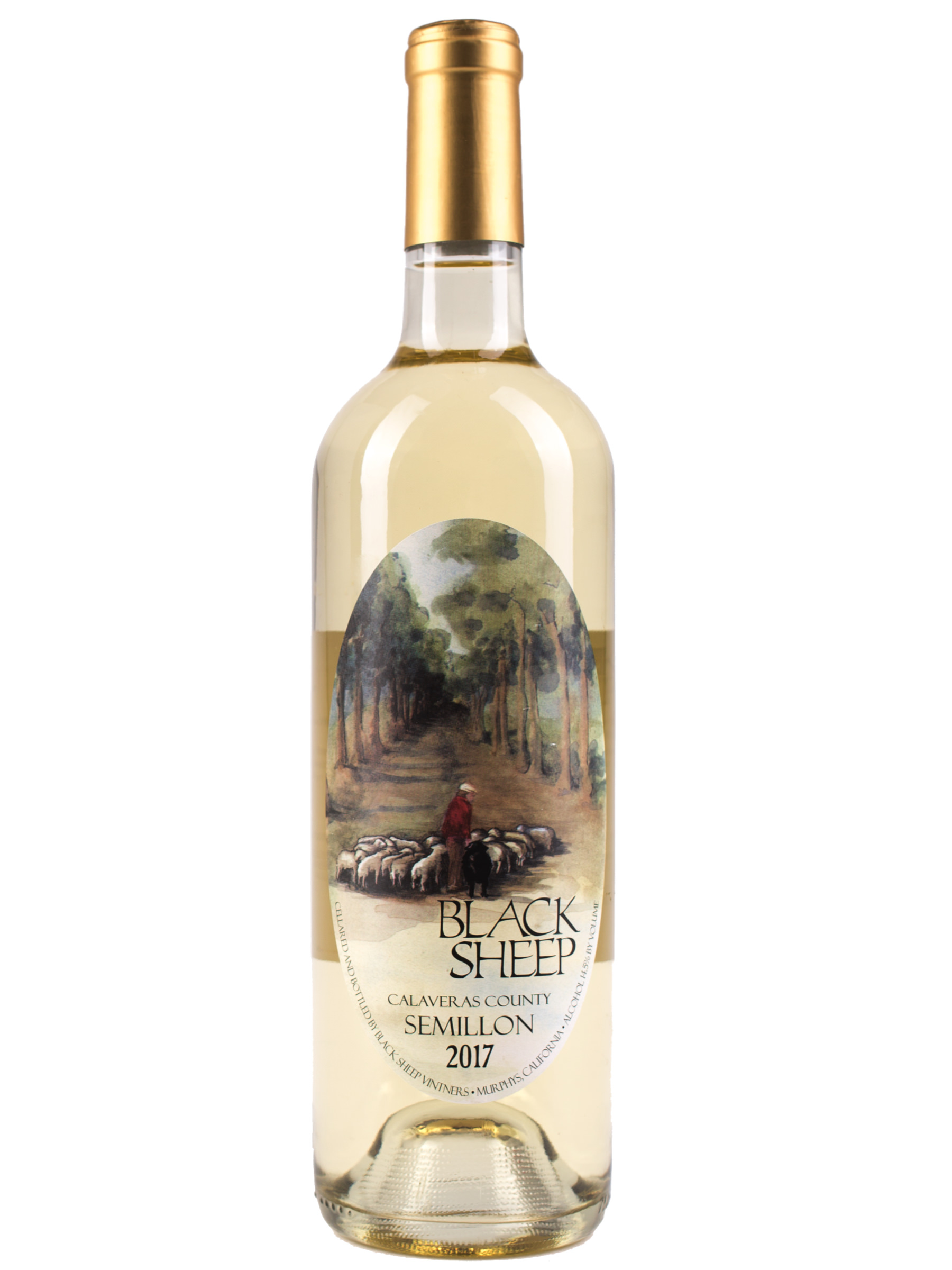 Bottle of Black Sheep Winery Calaveras County Semillion